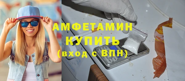 молекула духа Богданович