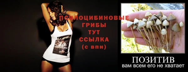 стаф Семикаракорск