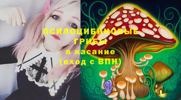 первитин Богородицк