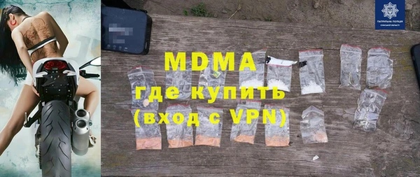 молекула духа Богданович