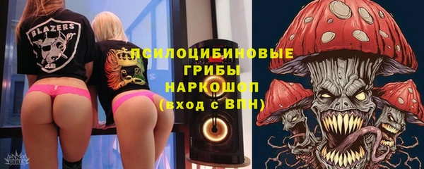 стаф Семикаракорск