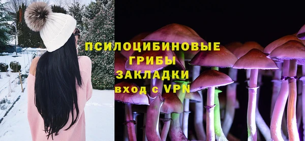 молекула духа Богданович