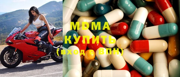молекула духа Богданович