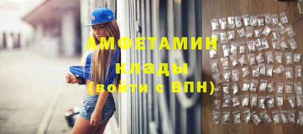 молекула духа Богданович