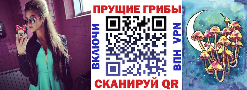 Псилоцибиновые грибы прущие грибы  где купить наркоту  Кораблино 
